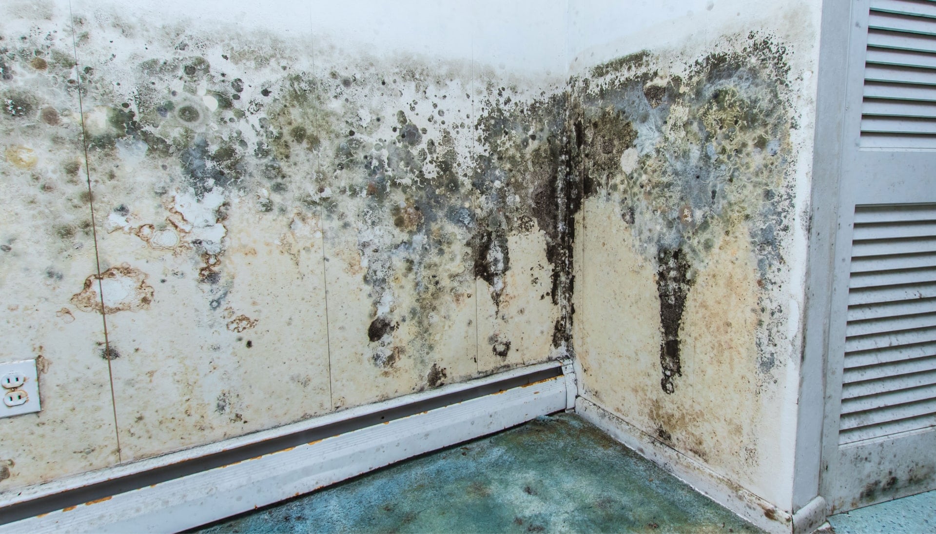 Professional mold removal, odor control, and water damage restoration service in Lexington, SC.