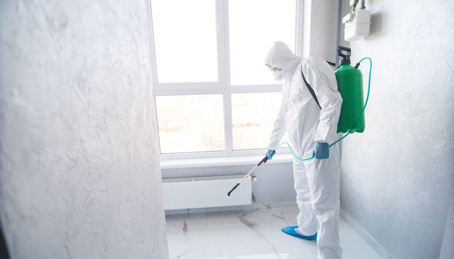 We provide the highest-quality mold inspection, testing, and removal services in the Lexington, SC area.
